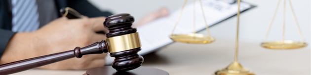 Blog Marc Janssen, hamer